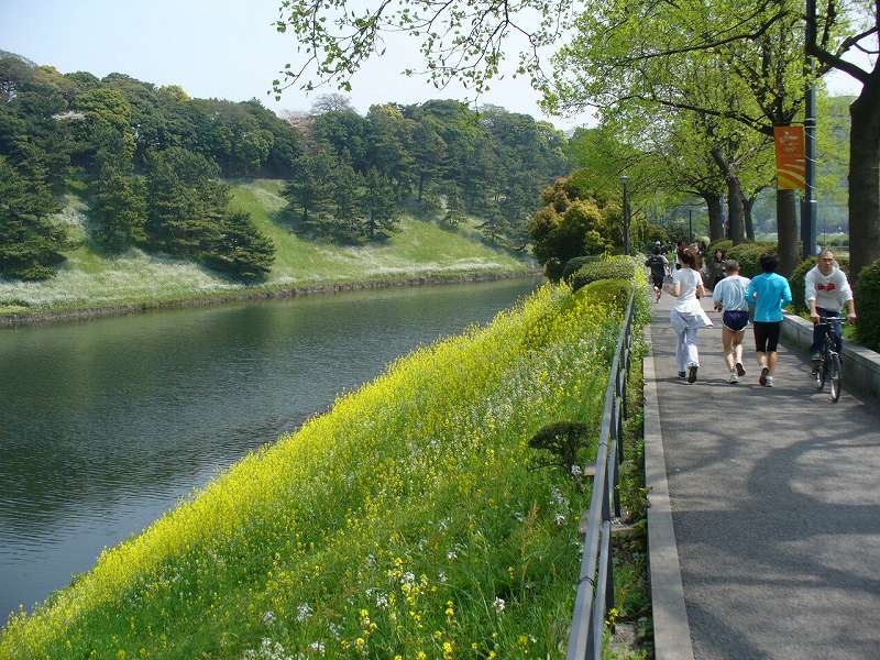 ランニングイベント風景